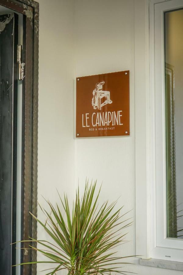 B&B Le Canapine Frattamaggiore Exterior foto